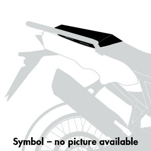 Sport rack black for BMW R 1300 R (25-) Hepco & Becker