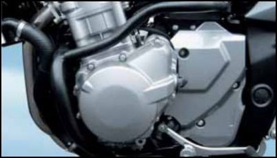 Engine Guard for Suzuki GSF650 BJ. 2007-2008