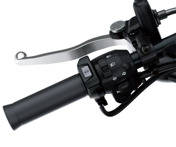 Heated grips for Kawasaki W800 Street (19-) Original