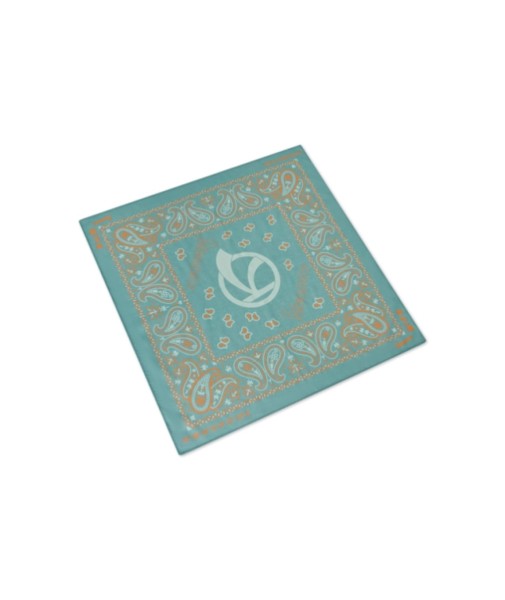 Vespa Bandana, Blue, DEC Collection