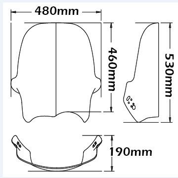 Windshield Adventure type for BMW R 1150 GS (00-03), light smoke