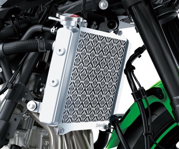 Radiator guard for Kawasaki Ninja ZX-4RR (24-) Original