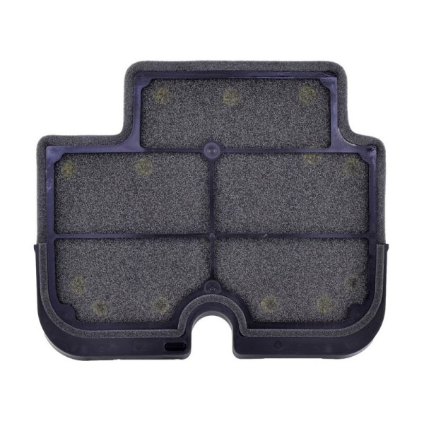 Tecnium air filter - 110290011