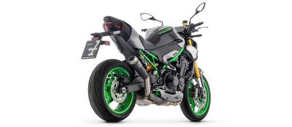 ARROW Auspuff PRO-RACE Edelstahl für Kawasaki Z900 ab Modelljahr 2025-
