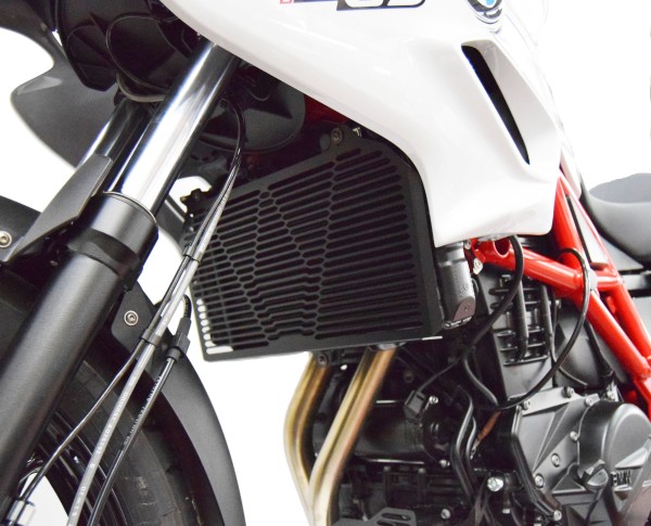 Kit: Radiator grille and oil filter grille guard for BMW F 700 GS (12-18), black
