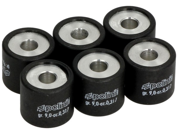 Polini variator pulley set, 19x17 mm, 9,0 g, piece: 6