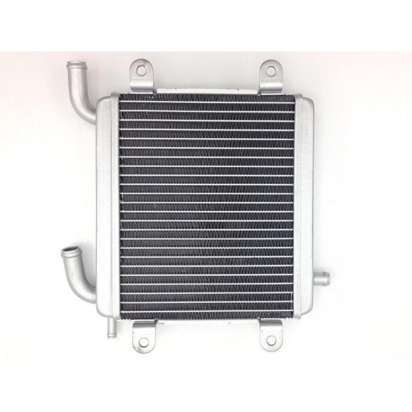 BIHR Water cooler - Yamaha Aerox 50 / MBK Nitro 50