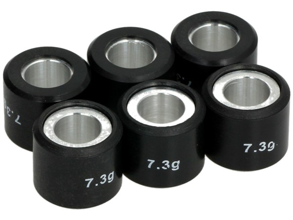 Sceed42 variator roller set, 19x17 mm, 7.3 g, piece: 6