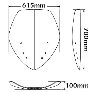 High windshield - height 700 mm for BMW R 1200 RT (05-09), lightly tinted