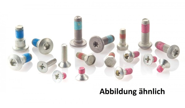 TRW front brake disk bolts MSW102-6, 6 pcs