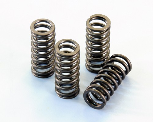 Polini valve spring