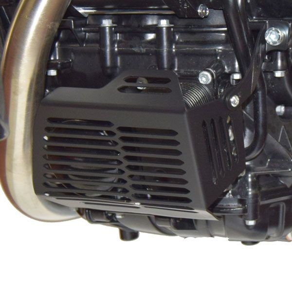 Oil filter guard for BMW F 700 GS (12-18), black