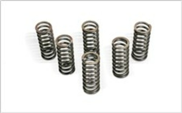 Barnett clutch spring kit for RM250 06-08